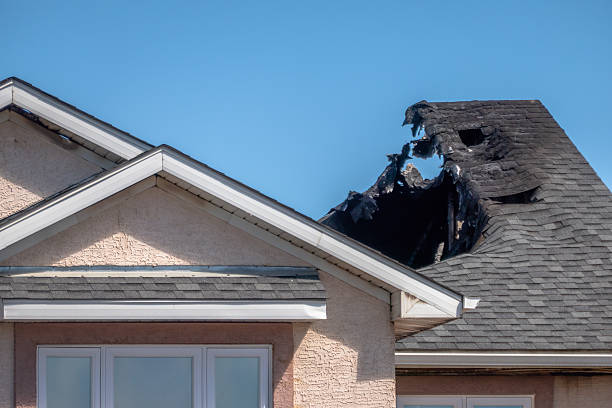 Top rated local Content Restoration specialists in North Richland Hills, TX